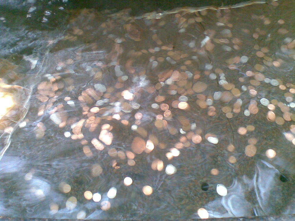 Coins In A Fountain/All I Needed Was You